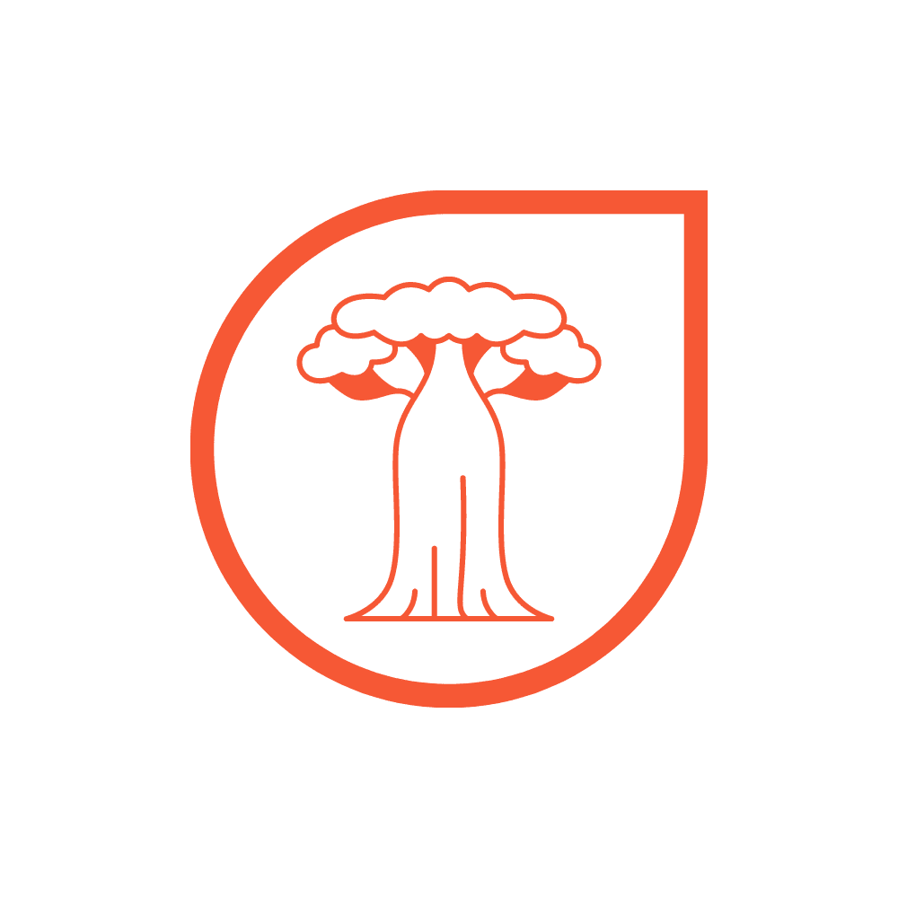 TIDUM CyberSecurity Services logo